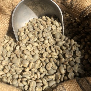 CÀ PHÊ NHÂN SỐNG - ARABICA (CÀ PHÊ CHÈ)